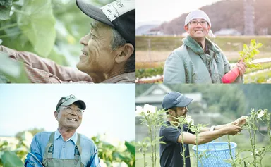 顔の見える有機農家さんたちの野菜を使用！