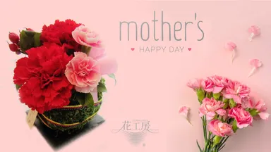 生命花手毬　生花カーネーションアレンジ　苔玉スタイル