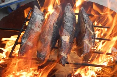 地場の「モチカツオ」も入荷します