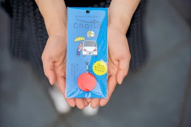 ちょっとしたプレゼントにも！