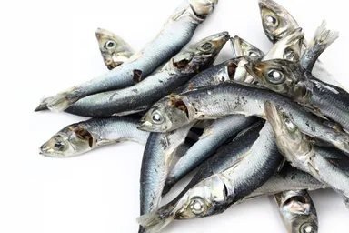 煮干し原料画像