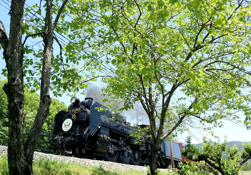 ゴールデンウィークはSLに乗って楽しもう！
SLイベントやSL入区見学ツアーを開催
～SLご乗車のお子様限定「こいのぼり」プレゼント企画も実施～