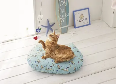 猫耳のかわいいクッション！飼い主さんにもおすすめ。