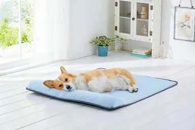 累計12,000個販売！「ソフトクールマット」