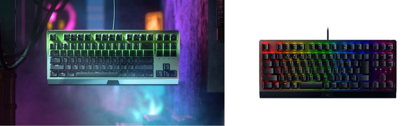 razer wireless pro