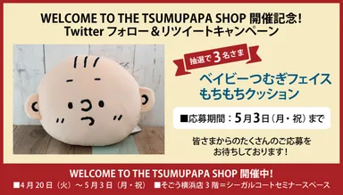 Twitterキャンペーン