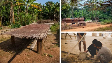 カカオ農家の現実