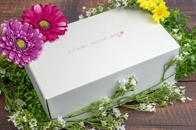 防災を楽しむためにも、オシャレで可愛くを大切に