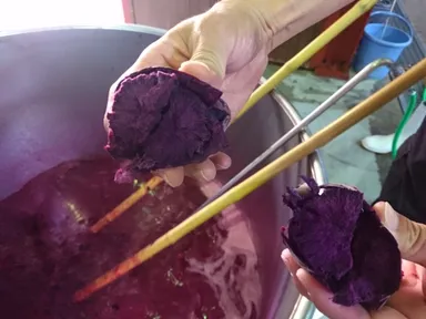 貴腐芋(きふいも)