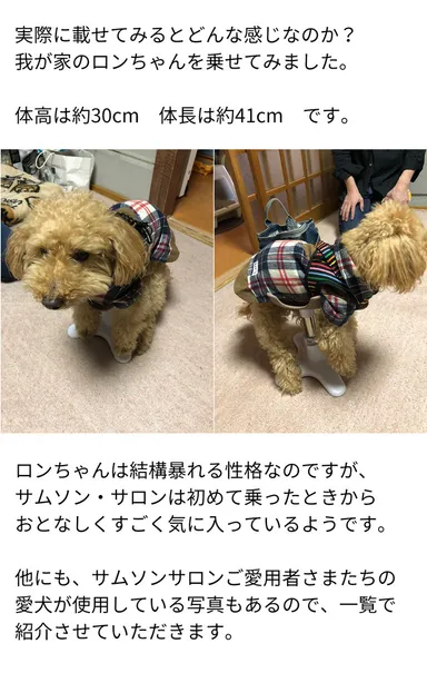 愛用者の使用例