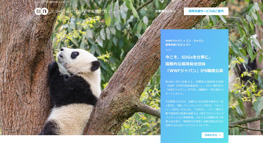 国際NGO「WWFジャパン」の採用支援プロジェクト開始！