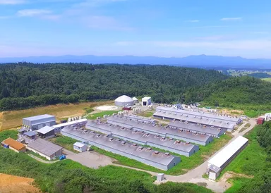 自然豊かな山形県金山町の自社牧場「米の娘ファーム」