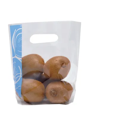 サンバッグLILLY ブルー キウイ