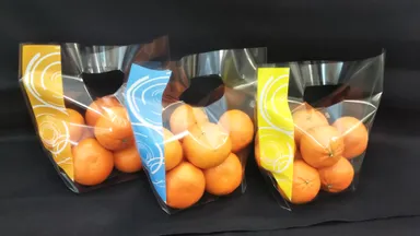 サンバッグLILLY 使用イメージ(2)