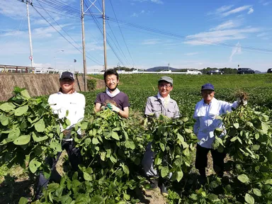 現地収穫体験も可能です