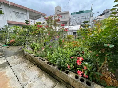 のんびり庭の散策もできる