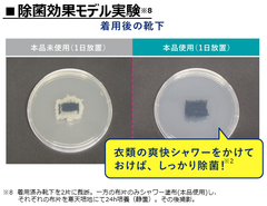 除菌効果モデル実験