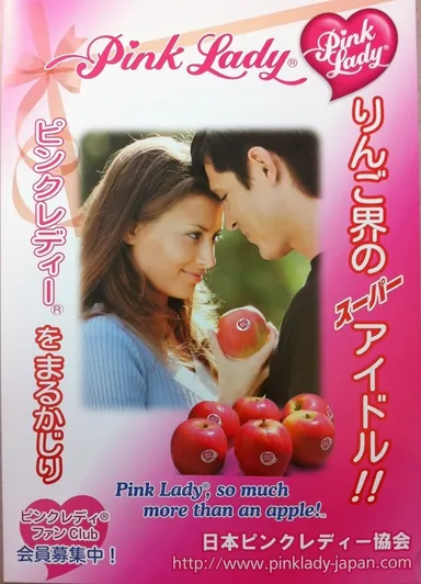 日本ピンクレディー協会