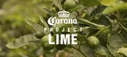 PROJECT LIME