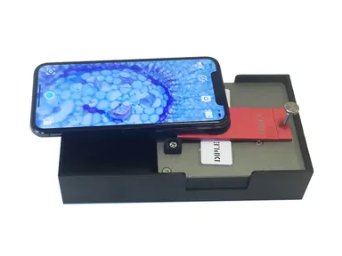 DIPLE RED ＆ Standard