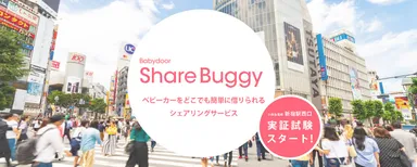 Share Buggy