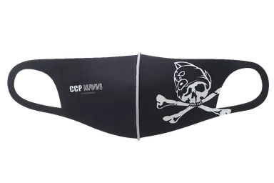 フェイスフラッシュ