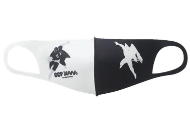 四次元殺法コンビ