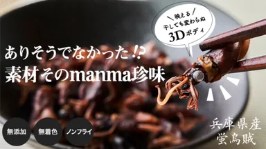 素材そのmanma珍味3D蛍烏賊