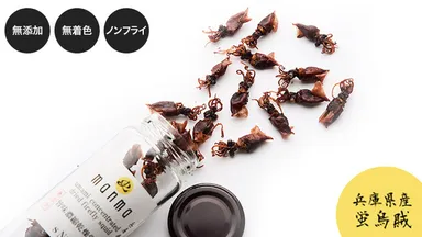 旨味濃縮乾燥蛍烏賊(2)