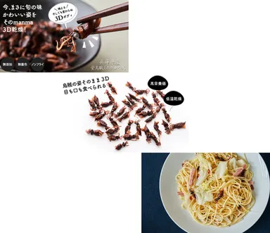 旨味濃縮乾燥蛍烏賊(1)