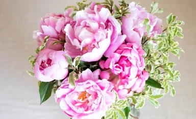 ピオニー(芍薬)ブーケ