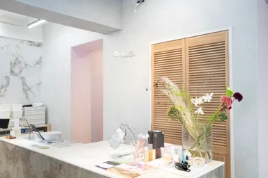 国内人気カラー事例2：ヴェルサイユV101　初雪の日／東京都内青山の美容室に施工