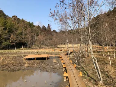 除草され、歩道が整備された様子