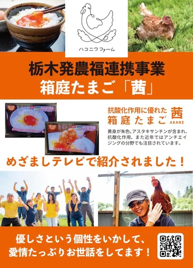 栃木発の農福連携事業