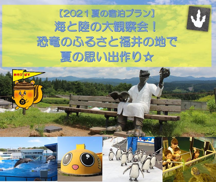 7月24日出発 8月7日出発宿泊プラン 海と陸の大観察会 恐竜のふるさと福井の地で夏の思い出つくり 株式会社リグロースのプレスリリース