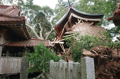 台風10号により本殿倒壊