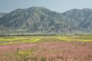 キルギス共和国の風景