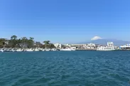 沼津港からの眺め「富士山」