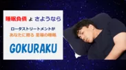 至福の睡眠　ピローパッド「GOKURAKU」(1)
