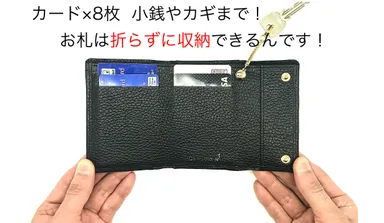 メインウォレットとしての収納力