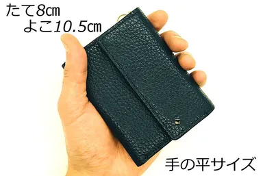 手の平にスッポリのコンパクトサイズ
