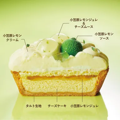 東京レモンのジュエリーチーズタルト_断面