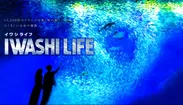 IWASHI LIFE(イワシ ライフ)
