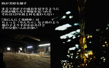 黒にんにく発酵酢3