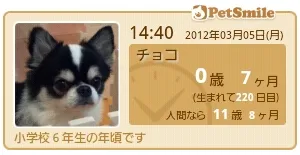 PetSmile ～年齢時計～