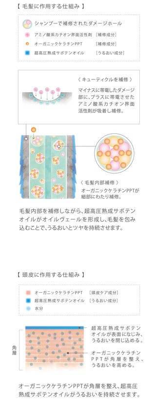 五感に満ちる、最上質。”シャンプー・トリートメントの 新製品 五感に満ちる、最上質。”シャンプー・トリートメントの 新製品