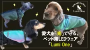 ペット用LEDウェア「Lumi One」