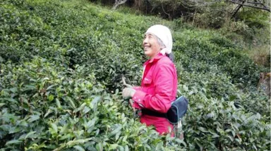 ひのはら紅茶 戸田さん