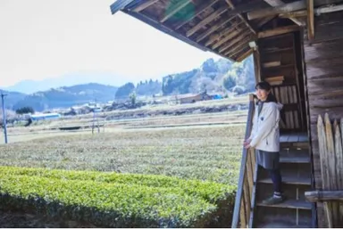 岩永製茶園 門内さん