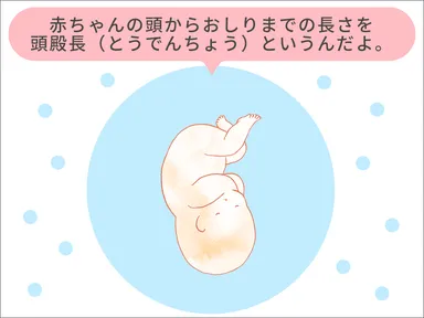 妊娠モード_赤ちゃんイラスト例1